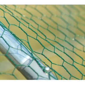 Stable Structure PE Roof OEM Chicken Run Kennel