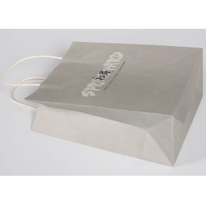 Matt Printed Custom Logo Sturdy Gift Packing Bags Recyclable With Customized