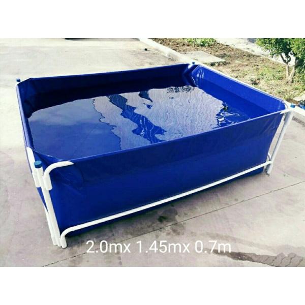 Buy Wholesale Pvc Fish Tank at wholesale prices