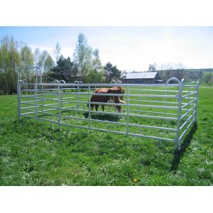 Australia standard galvanized cattle panel fence Cattle Crush,Cattle Chute