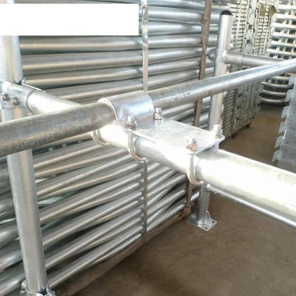 Floating Neck Rail and Flexing Loops Dairy Cattle Freestand System for Durable Farms