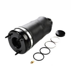 W164 X164 1643206013 Front Air Suspension Spring