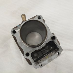 Water-Cooled Engine Block Aluminum Casting Cylinder Body for Tricycle 3 Wheels