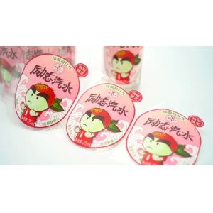 Customized Durable Tear-proof Adhesive Label Sticker for Various Applications