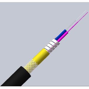 LSZH Jacket 5.0mm OS2 G652D Singlemode Armored Fiber Optic Cable for Networks