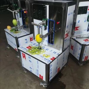 Multi-Function Fruit Crushing Machine Pineapple Peeler Machine Manual Machine