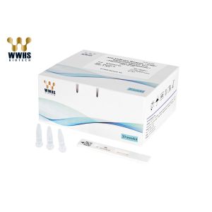 AMH IVD Rapid Test Kit IFA Colloidal Gold WWHS POCT Diagnostic Reagent Cassette