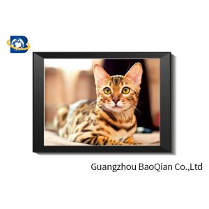 Cute Cat Lenticular Printing Picture With Frame 40 x 40 cm PET 0.65 mm