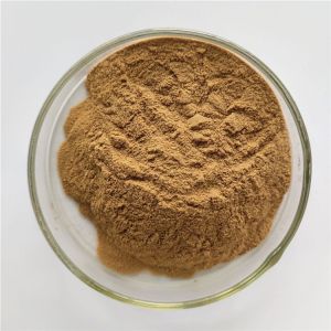 China Wholesale Supplier Radish Seed Extract For Sale