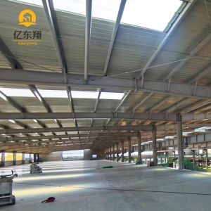 Custom Steel Frame Building For Activity Centers Fast Construction