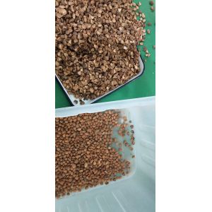 Flexem Humanized Touch Screen Almond Sorting Machine 7 Chutes