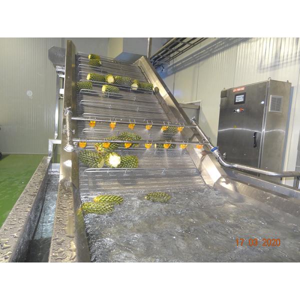 Buy High Performance Complete Pineapple Processing Line Customized Pineapple Production Plant Machine With PLC For Fruit Industry at wholesale prices