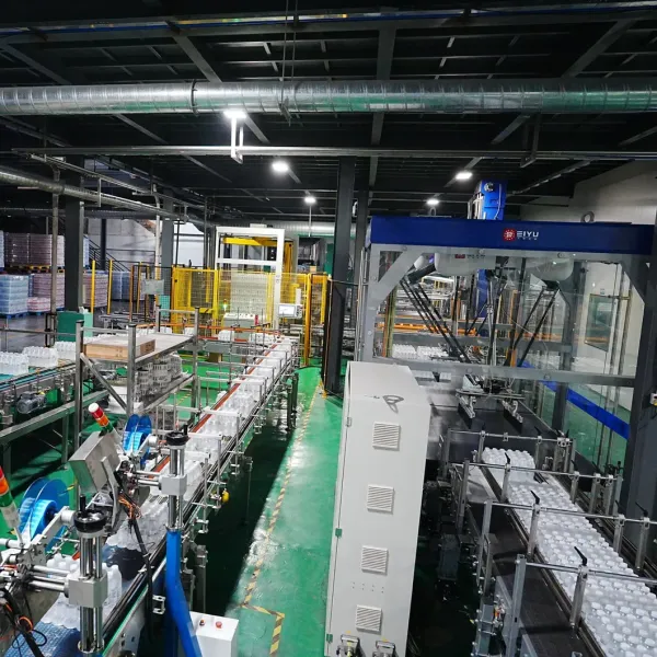 Automatic Gantry Palletizer Water Bottle Case Box Carton Palletizer