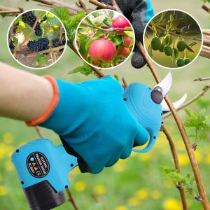 Easy Operated Garden Tools Fruit Branch Shear Pruner Scissors