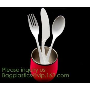 PLA Drinking Straws, CPLA Giant Straws, Individually Wrapped, Plant Based