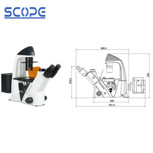 Buy cheap Infinity Plan Objective Inverted Epifluorescence Microscope , Inverted Optical from wholesalers