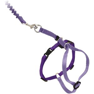 Adjustable Nylon Cat Harness Collar With Bungee Leash
