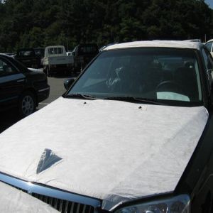 Auto car body Protective Film for trasportation outdoor Anti-UV 12 months