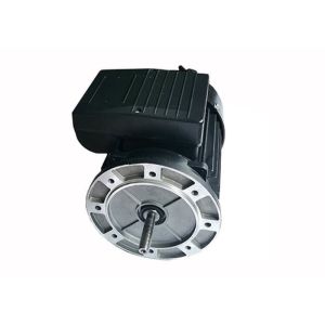 0.25HP 0.18KW IP54 2 Poles Aluminium Asynchronous Motor