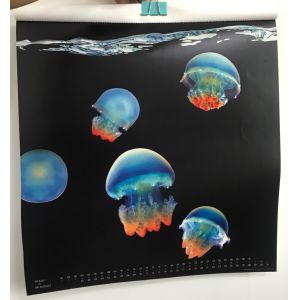 Double Sided 3d Custom Lenticular Printing 200g White Cardboard
