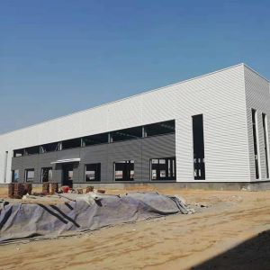 Galvanized Anti Seismic Q235B Steel Structure Warehouse