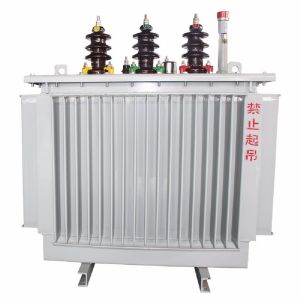 220kv Class Oil-Immersed Power Transformer (up to 150MVA)