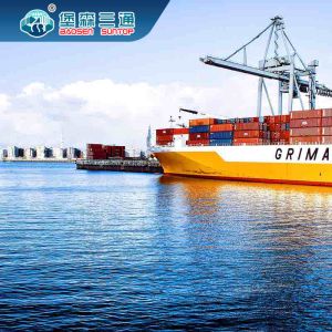 Container Shipping Freight Agent From Shanghai/Ningbo/Tianjin China to EU/UK/US