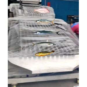 4 Styles Automatic Fish Classifying Machine And Sorting Small Fish Line With 5