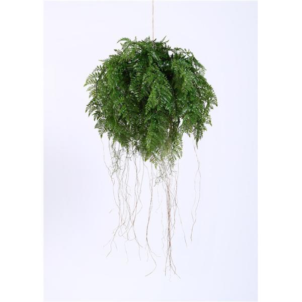 Buy Realistic Artificial Hanging Plants Ferns 55CM Strong UV Resistance Ideal Assortment at wholesale prices