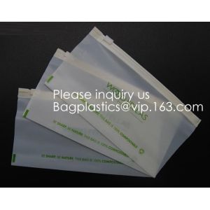 Biodegradable compostable Double Zipper Bag Ldpe Cartoon Zip lockk Bag With Logo