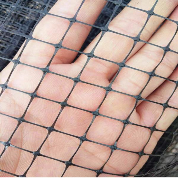 PP Plastic Knitted Anti Bird Netting , Bird Proof Garden Netting For Vineyard