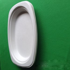 biodegradable eco-friendly tableware sugarcane small oval shaped food tray