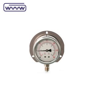 Silicone / Glycerine Liquid Filled Pressure Gauge 0-600bar Aseismic