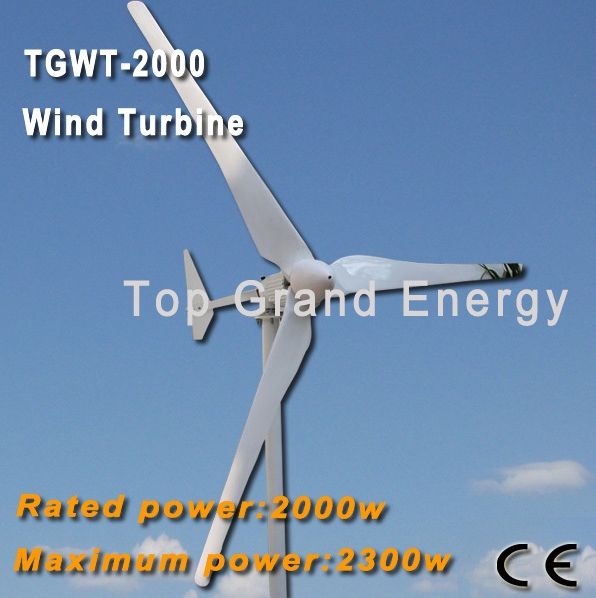 TGWT-2K 2000W 48V/96V wind turbine Three phase permanent magnet AC synchronous
