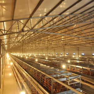 Prefabricated Wire Chicken Battery Cage 3-8tiers Poultry Farm House