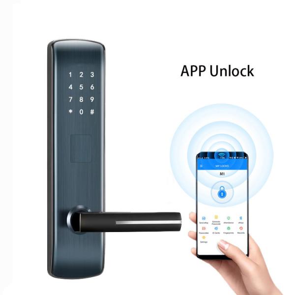 Buy Touch Screen FCC Intelligent Door Lock 300mm Electronic Combination Door Lock at wholesale prices