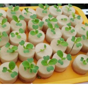 Plant Agriculture Hydroponic Growing Medium Foam