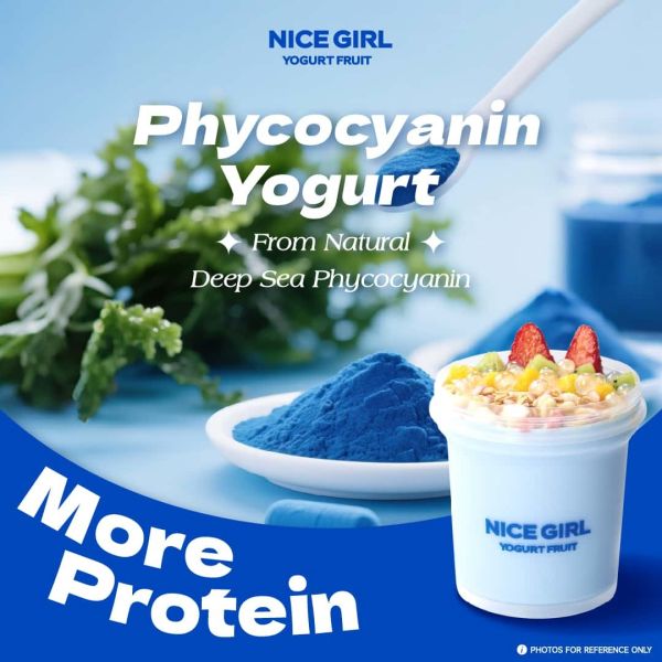 Various Flavor Malaysia Frozen Yogurt Franchise With Natural Ingredients