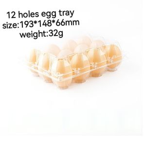 12 Holes Transparent Plastic Quail Egg Tray Hinged Clamshell Customizable