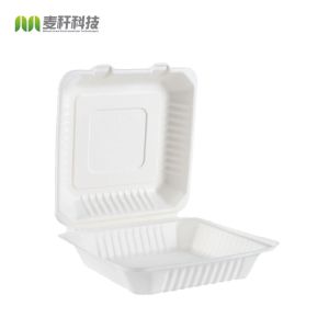 Quality Disposable bagasse pulp food storage containers for sale