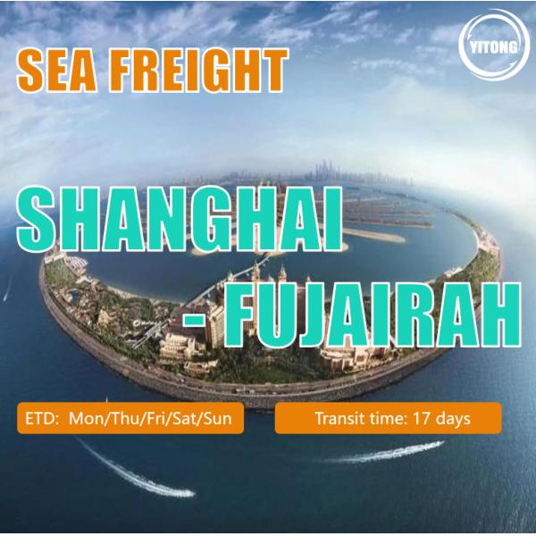 Buy Sea Freight From Shanghai To Fuiairah at wholesale prices