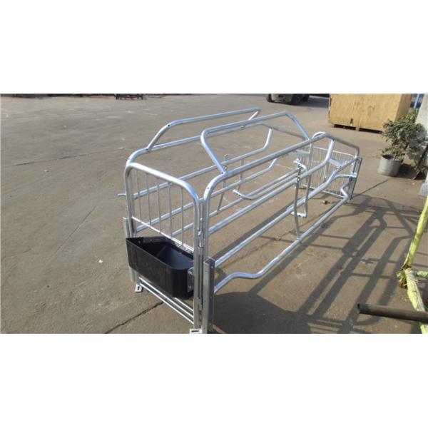 Hign Strength Galvanized Pig Farrowing Crate Anti Corrosive Long Using Life Time