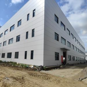 Industrial Modern Prefabricated Steel Structure Building Construction Customized