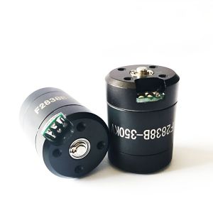 Faradyi Customized F2838 11.1V-14V 350KV BLDC Waterproof Tubular Underwater