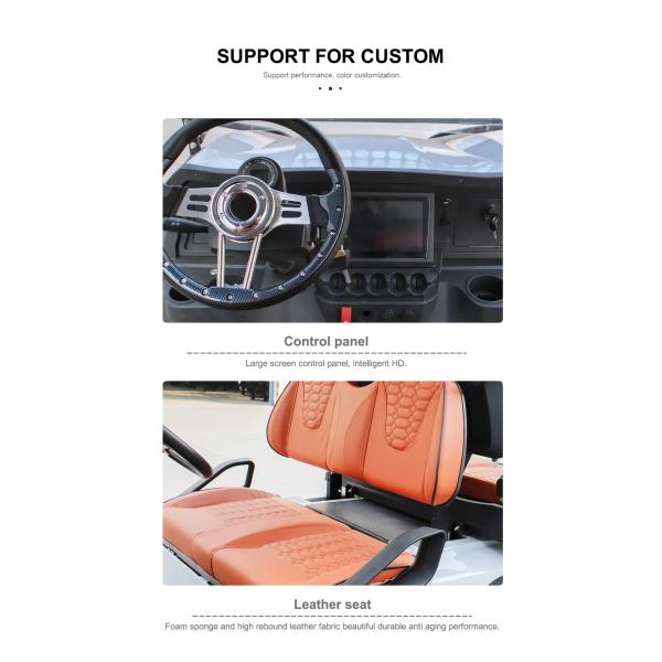 Off Road Club Car with Rear Hub Motor 6 Passenger 5KW Electric Hunting Golf Cart