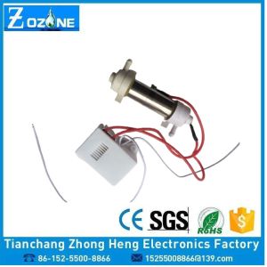 200mg Tube Ozone Generator 220v 110v Ozone Tube