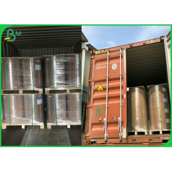 Grease Resistant Food Grade Kraft Board Coated PE Material 300gsm 350gsm Grease Resistant Food Grade Kraft Board Coated PE Material 300gsm 350gsm