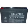 Champion Lead Acid Battery 6V10AH Toy battery 6V12AH storage emergency lighting battery for sale