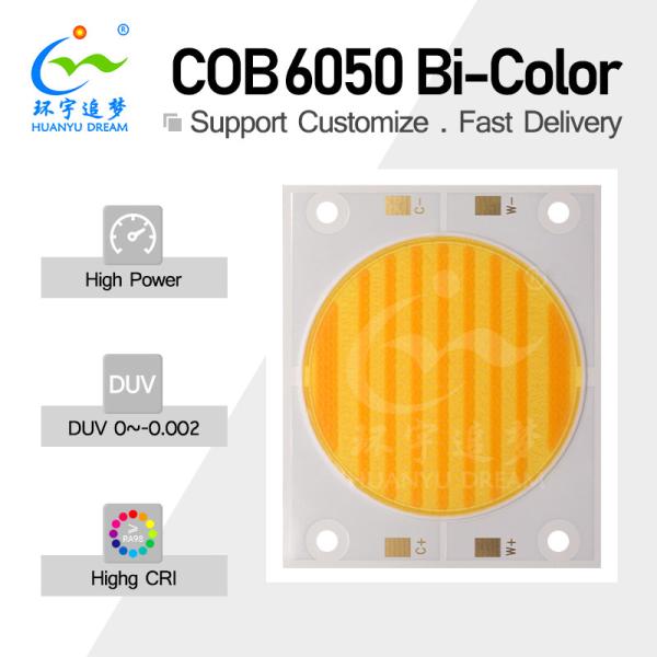 High Lumen Output Dual Color COB LED 200W 200W 300W 300W 3838 5454 6050 Chip