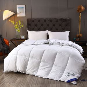 Hilton Duvet Double Spring Autumn Winter Quilt Core and Hot Style for Micro